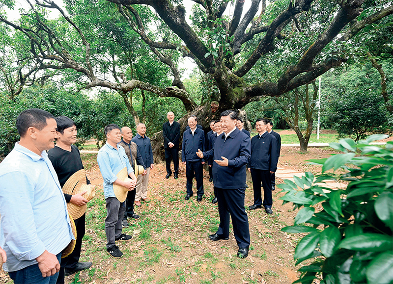 2023年4月10日至13日，中共中央總書記、國家主席、中央軍委主席習(xí)近平在廣東考察。這是11日下午，習(xí)近平在茂名高州市根子鎮(zhèn)柏橋村荔枝種植園，同現(xiàn)場技術(shù)人員親切交流。