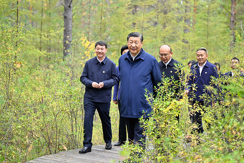 9月6日至8日，中共中央總書記、國(guó)家主席、中央軍委主席習(xí)近平在黑龍江考察。這是6日下午，習(xí)近平在大興安嶺地區(qū)漠河市漠河林場(chǎng)自然林區(qū)考察